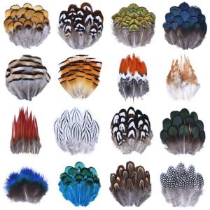 Großhandel Natürliche Pfau Fasan Feder Ostrich Plumes für Hand und Handwerk Kopfschmuck Kleine Decor Schmuck Creation