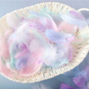 Natural Feathers 4 8cm Small Floating Goose Feather Colourful Plume for Crafts Wedding Jewelry Home DIY Decoration Plumes